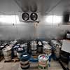 Fast Fashion Brewing cooler with kegs