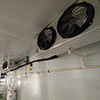 Beverage cooler circular ventilation fans